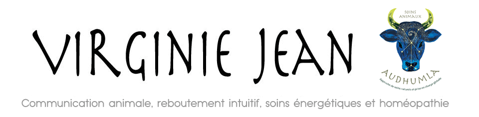 Virginie Jean